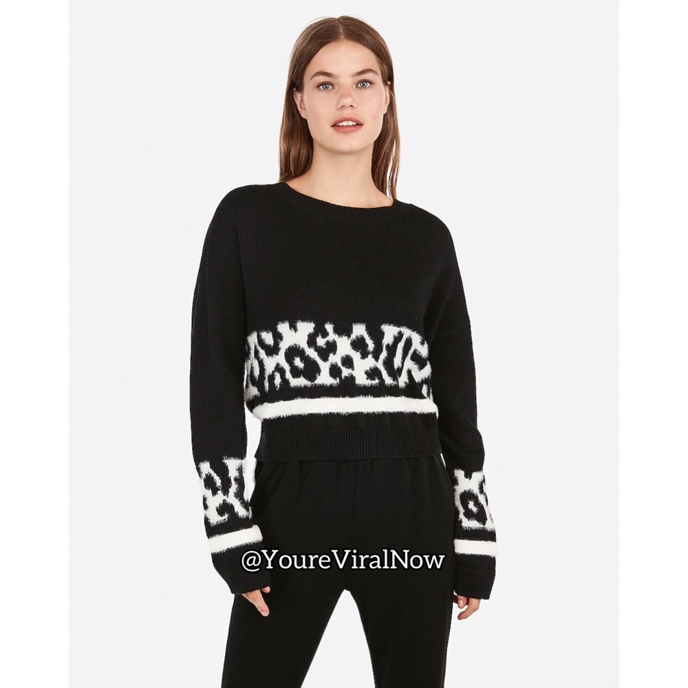 Animal Print Stripe Cropped Sweater